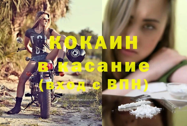 стафф Алзамай