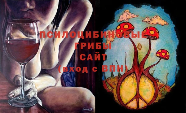 стафф Алзамай