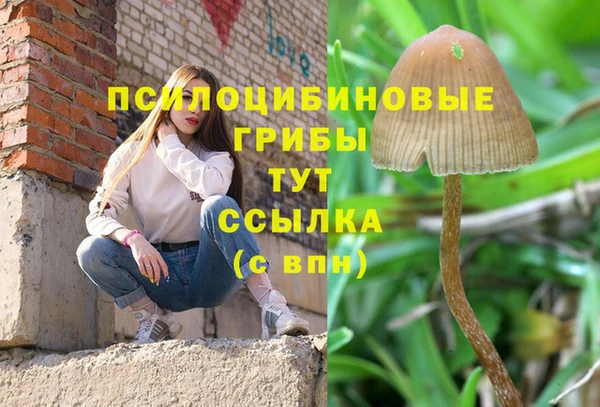 ешки Алексеевка