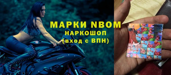 стафф Алзамай